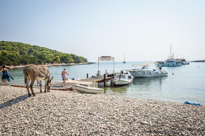 Split or Trogir: Blue Cave, Vis, and Hvar Speedboat Day Tour - Packing Tips