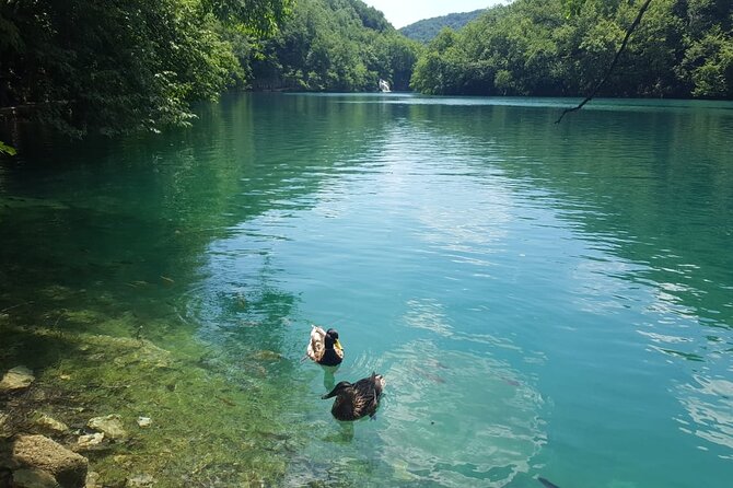 Split Ot Trigir to Plitvice Lakes National Park, Knin Day Trip - Additional Details