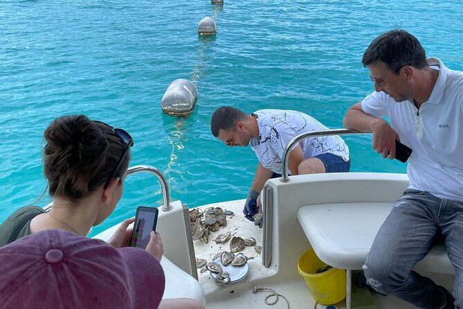 Ston Seafood & PelješAc Wine: Boat Tour With Oysters and Mussels - Inclusions and Logistics