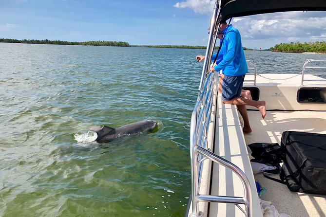 Ten Thousand Islands Boat Tour up to 12 People - Booking Confirmation Details