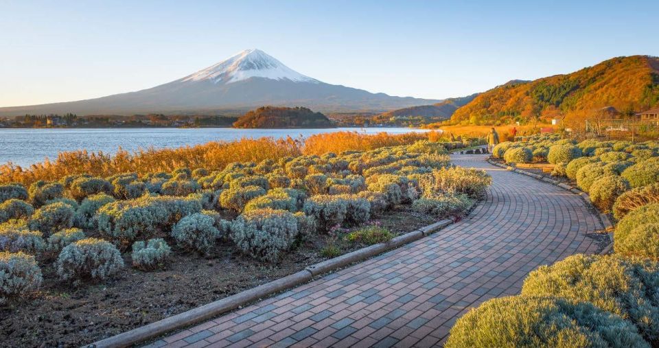 Tokyo: Mt Fuji Day Tour With Kawaguchiko Lake Visit - Inclusions in the Tour Package