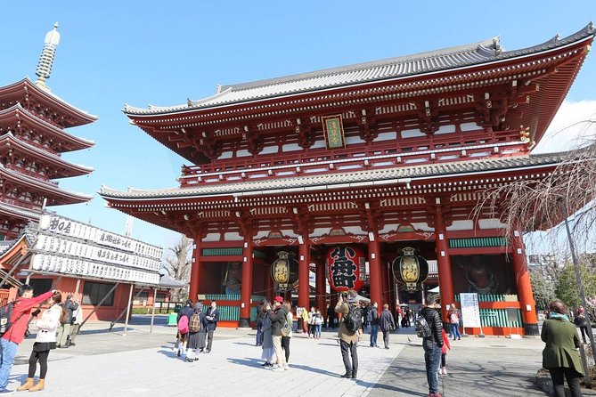Tokyo Private Sightseeing Tour With English-Speaking Driver - Tour Company Professionalism