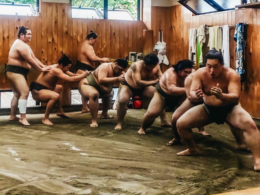 Tokyo: Sumo Morning Training Visit - Customer Reviews