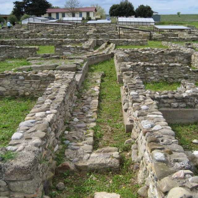 Tour of the Archaeological Area of Policoro - Inclusions