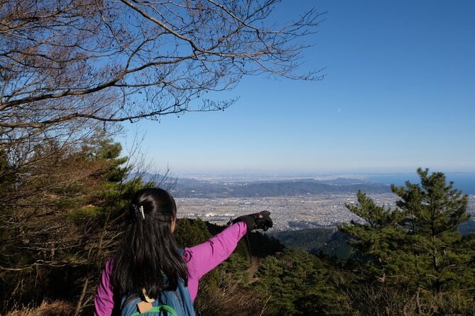 Traverse Outer Rim of Hakone Caldera and Enjoy Onsen Hiking Tour - Booking Details