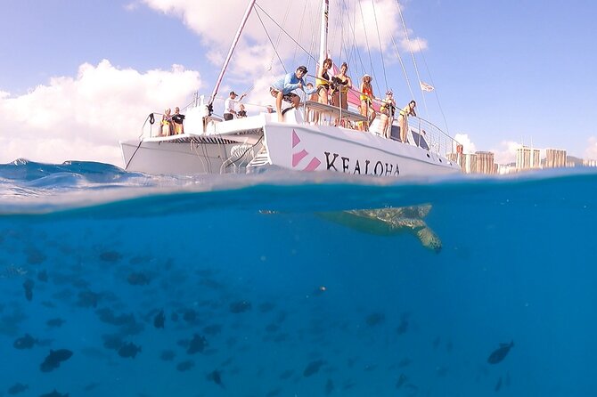 Turtle Snorkeling Adventure in Waikiki (Boat Tour) - Cancellation Policy
