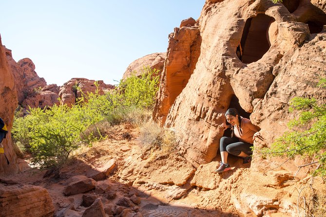 Valley of Fire Hiking Tour From Las Vegas - Tour Guides