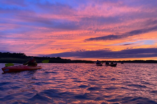 2-Hour Hilton Head Guided Kayak Nature Tour - Background Information