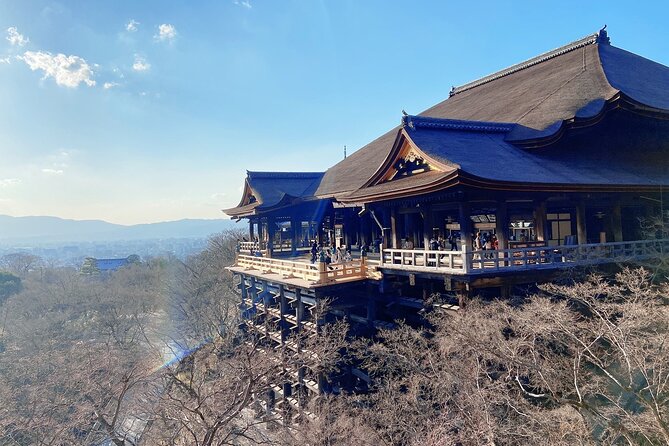 7 Must-See Spots Afternoon Private Tour ; Including 1000-Torii-Gate Shrine - Nijo Castle