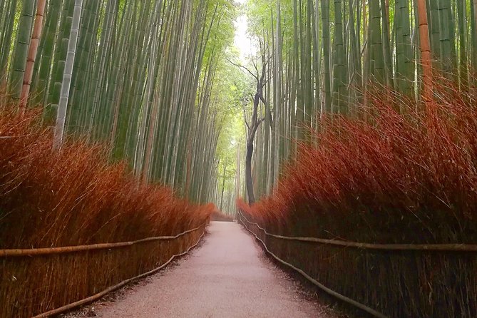 Afternoon Arashiyama Bamboo Forest & Monkey Park Bike Tour - Common questions