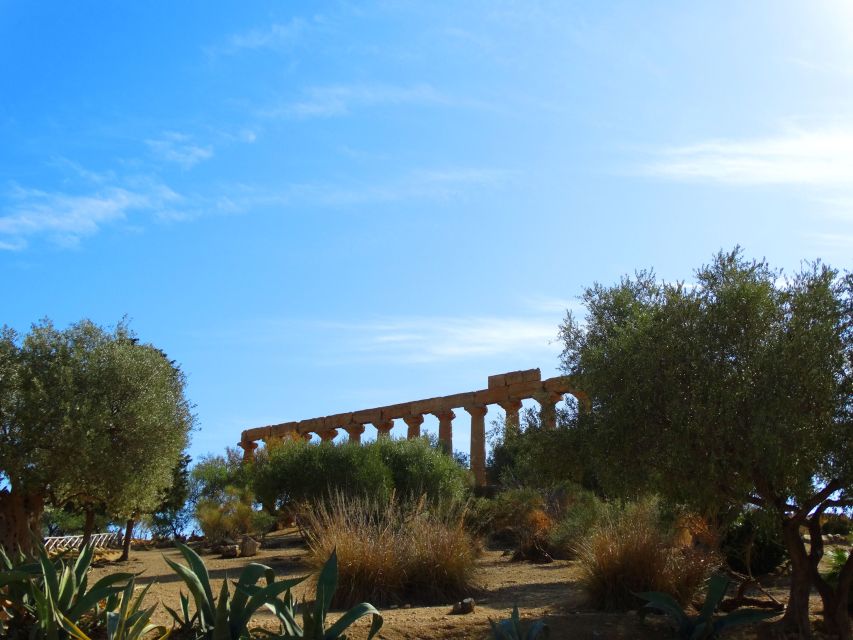 Agrigento: Valley of the Temples Private Tour - Review Highlights