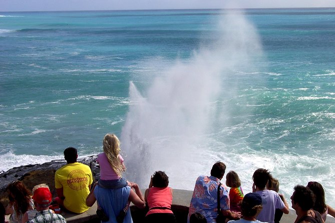 All Inclusive Ultimate Circle Island Day Tour and Waimea Falls - Customer Satisfaction