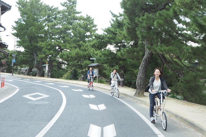 An E-Bike Cycling Tour of Matsue That Will Add to Your Enjoyment of the City - Safety Measures and Guidelines