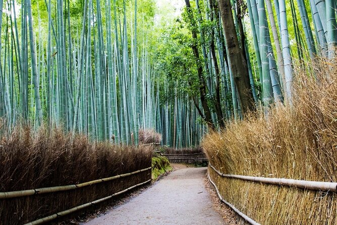 Arashiyama Bamboo Grove Day Trip From Kyoto With a Local: Private & Personalized - Sum Up