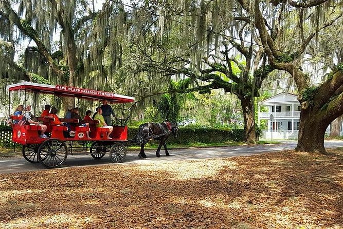 Beaufort's #1 Horse & Carriage History Tour - Tour Experience Insights