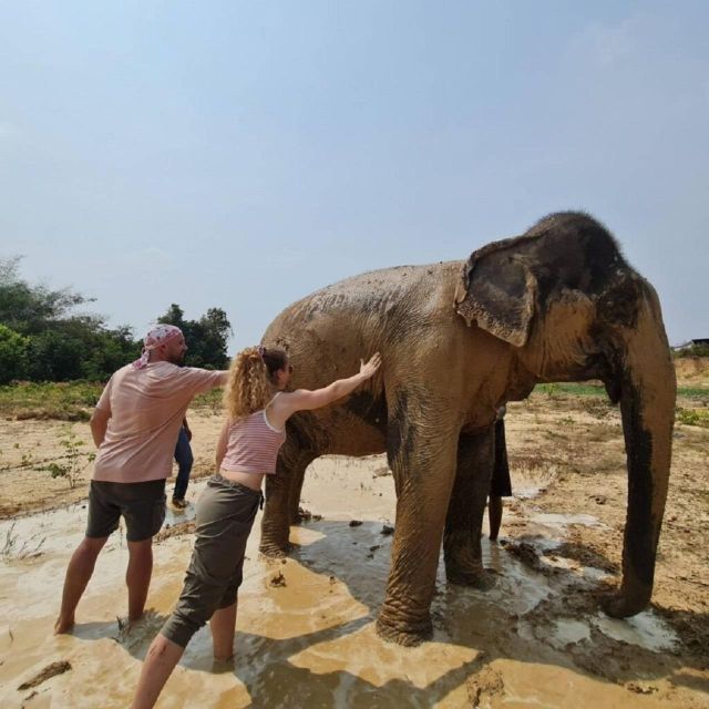 Cambodia Elephant Sanctuary and Banteay Srey Temple Tour - Common questions