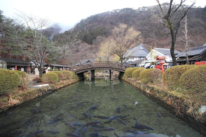 Chartered Private Tour - Tokyo to Nikko, Toshogu, Edo Wonderland - Tour Highlights and Inclusions