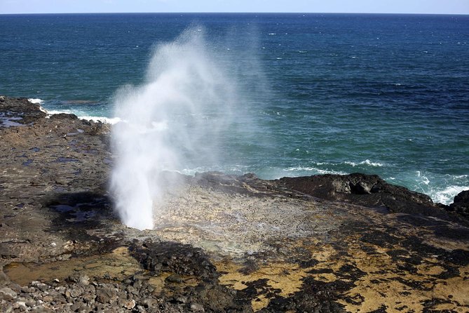 Circle Island Tour With Waimea Waterfall - Guide Spotlight: Shannon OBrien