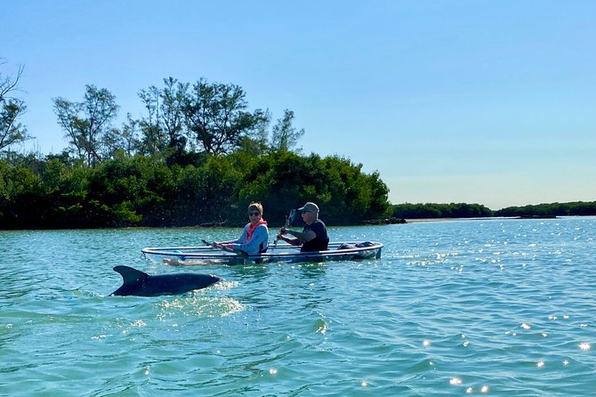 Clear Kayak Tour of Shell Key Preserve and Tampa Bay Area - Safety Measures and Equipment Provided