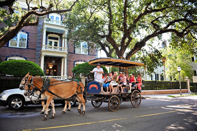 Daytime Horse-Drawn Carriage Sightseeing Tour of Historic Charleston - Additional Information