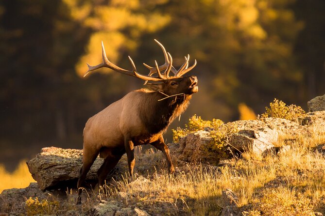 Discover Rocky Mountain National Park From Denver or Boulder - Directions