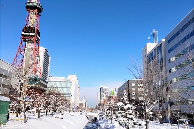 Enjoy Foods and Drink! Walking Downtown of Sapporo With Ken-San. - Reviews