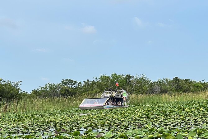 Everglades Tour From Miami With Transportation - Cleanliness, Comfort, and Service Feedback