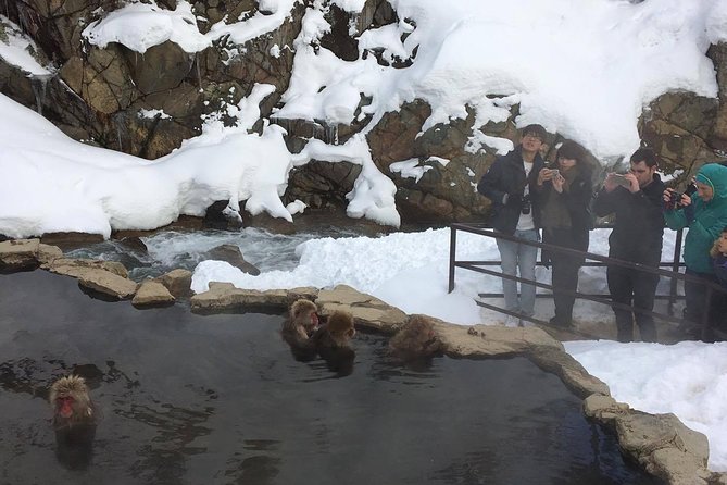 Explore Jigokudani Snow Monkey Park With a Knowledgeable Local Guide - Additional Information and Copyright