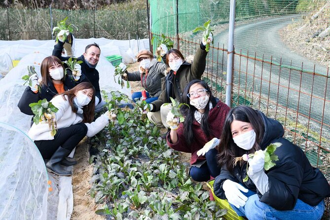 Farming Experience in a Beautiful Rural Village in Nara - Booking Information and Pricing