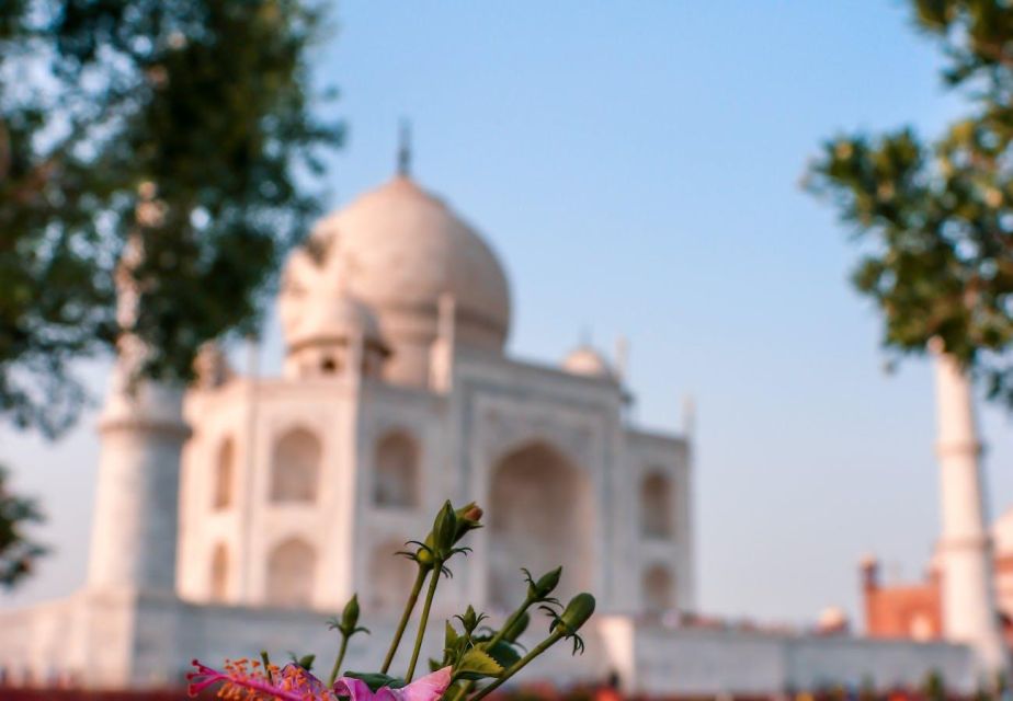 From Delhi: 5-Day Private Golden Triangle Tour Hotels - Hotel Categories and Room Selection