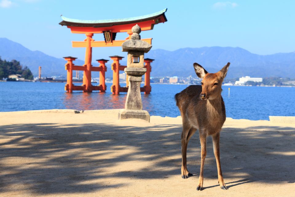 From Hiroshima: Hiroshima and Miyajima Island 1-Day Bus Tour - Sum Up