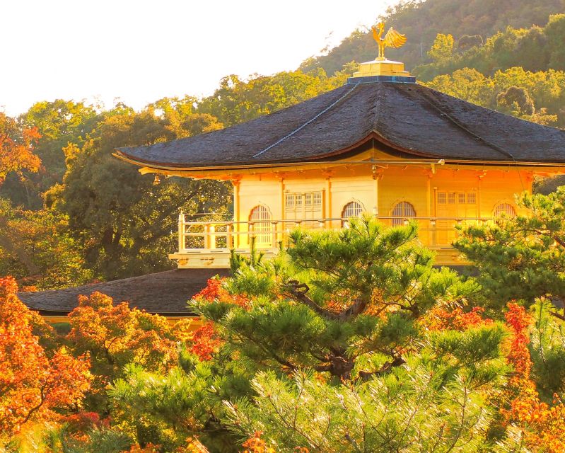 From Osaka/Kyoto: Kyoto & Nara Bus Tour W/ Kinkakuji Ticket - Booking Information