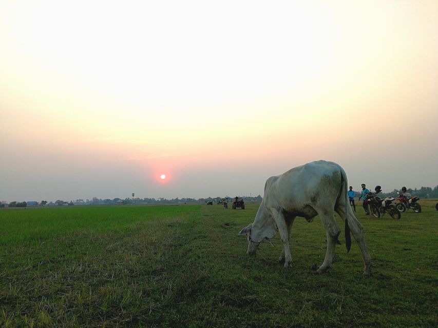 From Siem Reap: Sunset Quad Bike Tour in Countryside - Location and Booking Information