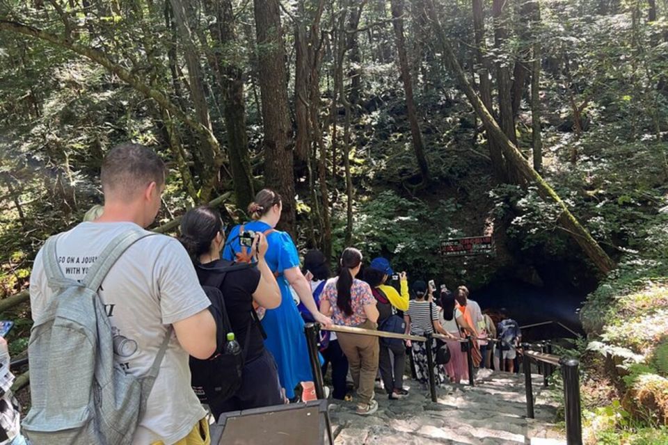 From Tokyo: Guided Aokigahara Forest and Mt.Fuji Day Tour - Restrictions and Logistics