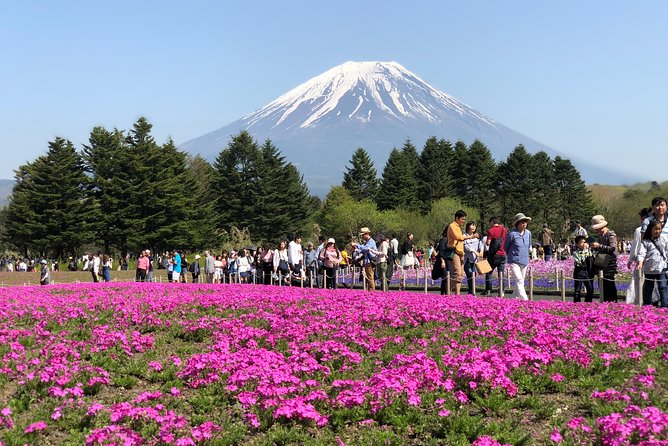 Full Day Private Fuji Tour With English Driver & Muslim Friendly - Customer Reviews and Ratings