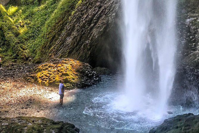 Half-Day Columbia River Gorge and Waterfall Hiking Tour - Tour Highlights