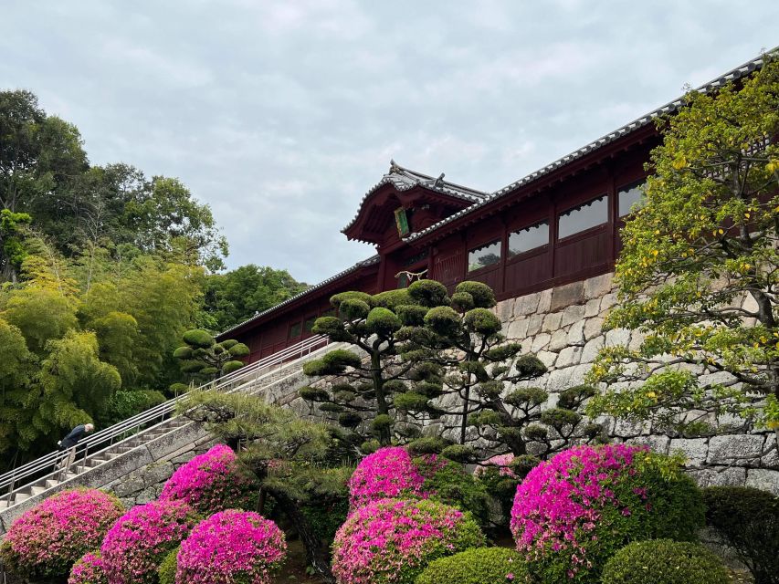 Hiroshima: Spring Morning Hiking Tour With Tea Ceremony - Pricing