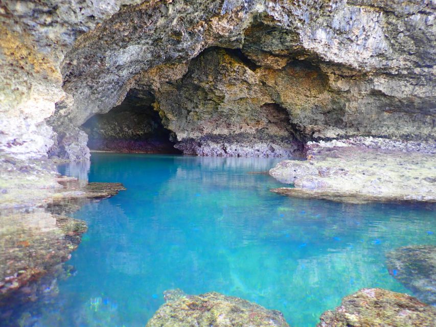 Ishigaki Island: SUP/Kayaking and Snorkeling at Blue Cave - Booking Options & Reviews