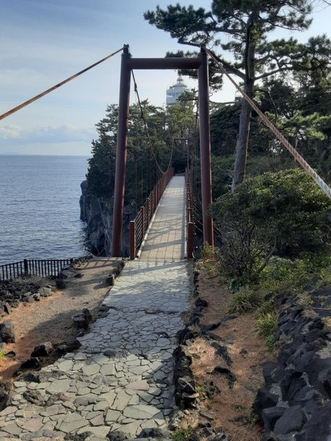 Izu Peninsula: Jogasaki Coast Experience - Directions