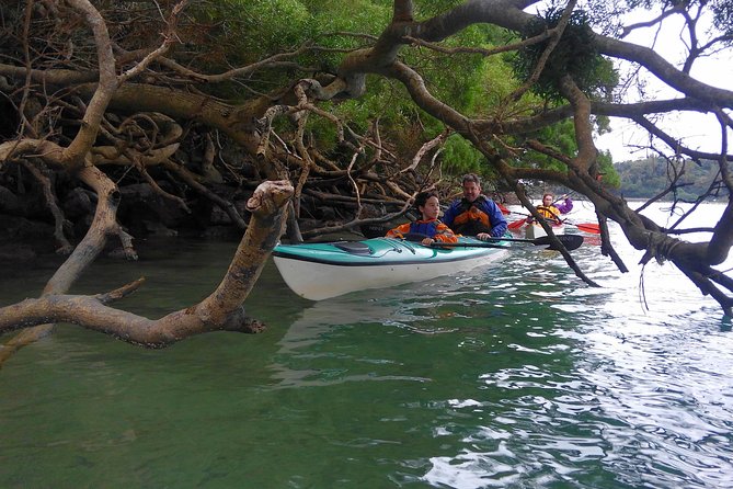 Kayak Mangroves or Coral Reef: Private Tour in North Okinawa - Additional Directions and Recommendations
