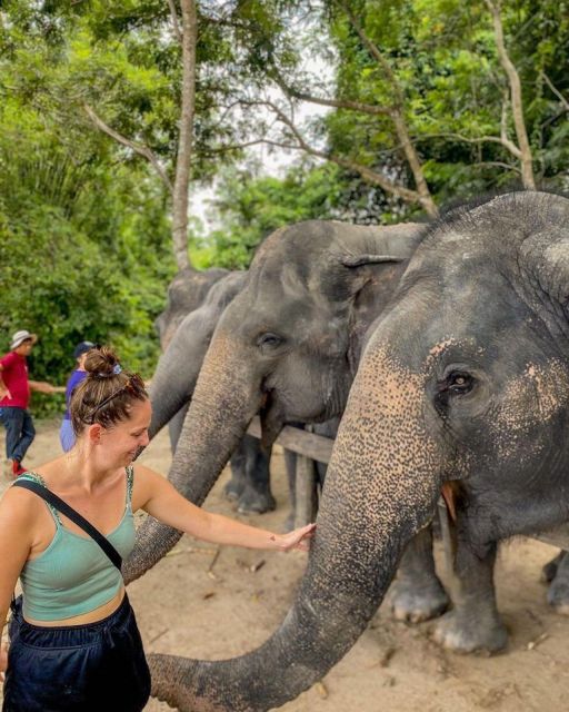 Kulen Elephant Siem Reap Forest in Small Group Tour - Customer Testimonials