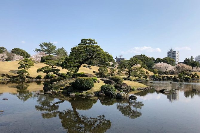 Kumamoto Full-Day Private Tour With Government-Licensed Guide - Sum Up