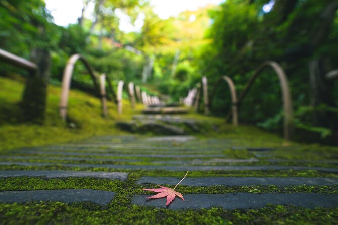 Kyoto Arashiyama Bamboo Forest & Garden Half-Day Walking Tour - Traveler Reviews