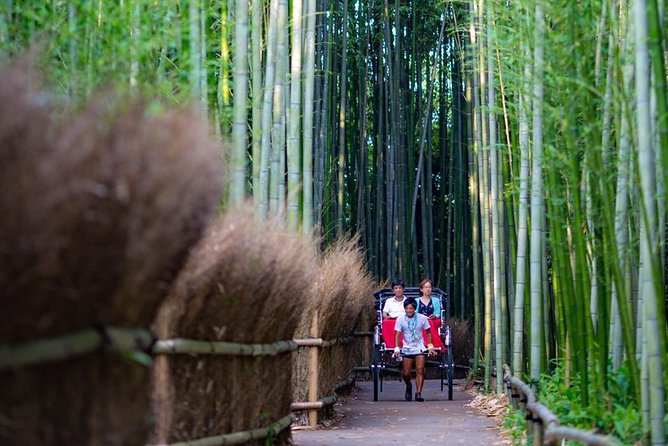 Kyoto Arashiyama Rickshaw Tour With Bamboo Forest - Help Center Assistance