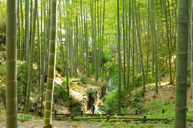 Kyoto : Immersive Arashiyama and Fushimi Inari by Private Vehicle - Meeting and Pickup Information