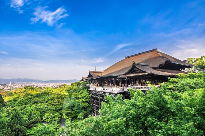 Kyoto Private 6 Hour Tour: English Speaking Driver Only, No Guide - Driver Excellence and Professionalism