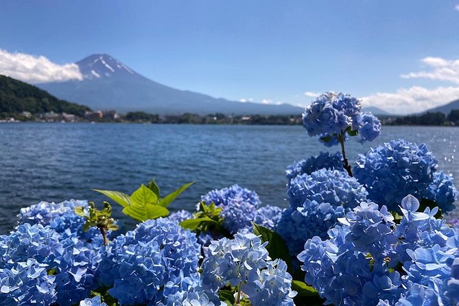 Lake Kawaguchiko Bike Tour - Traveler Reviews