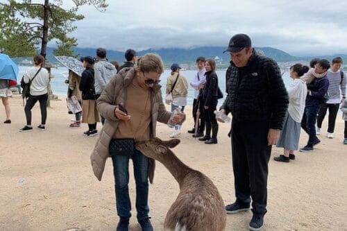 Miyajima Half-Day Private Tour With Government Licensed Guide - Common questions