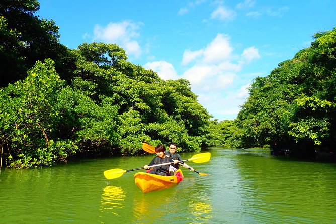 Miyara River 90-Minute Small-Group SUP or Canoe Tour (Mar ) - Common questions