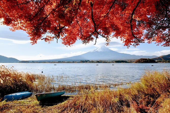 Mt Fuji Day Trip From Tokyo by Car With Photographer Guide - Reviews and Ratings